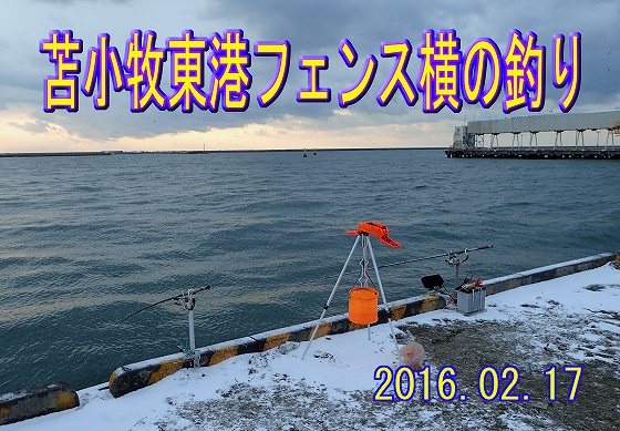 どこも釣れていませんでした