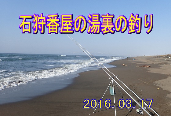 �V�C�͗ǂ��g���{�P�R��