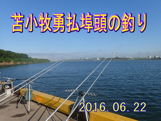 �����V�C�ɂȂ�܂���
