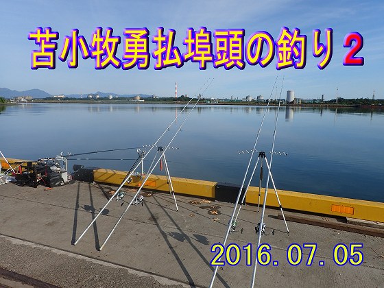 �r�̂悤�ȊC