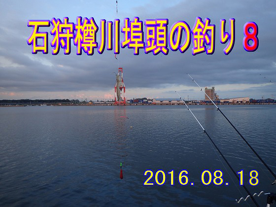 ���₩�ȊC�ł���