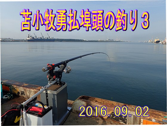 �ǂ����V�C�ł�