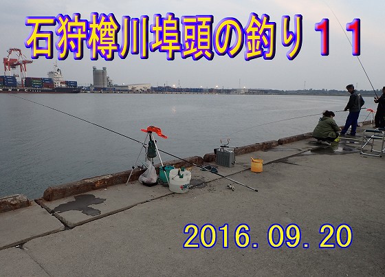 �������݂܂�