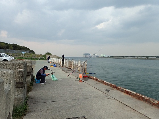 ���낻�남�A��̎��Ԃł�