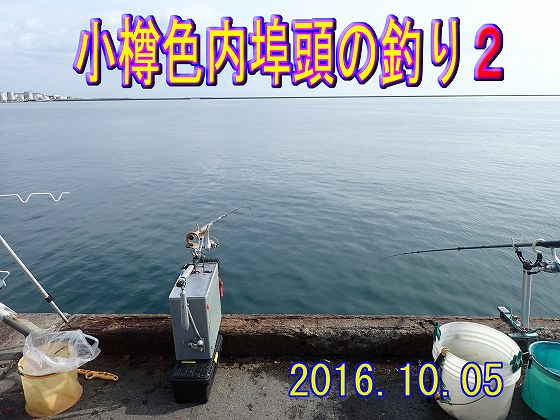 �ǂ����V�C�ł���